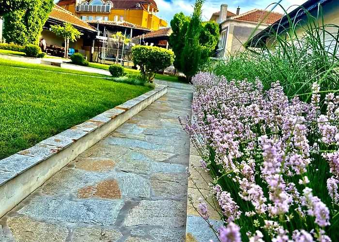 Appartement Single Elit